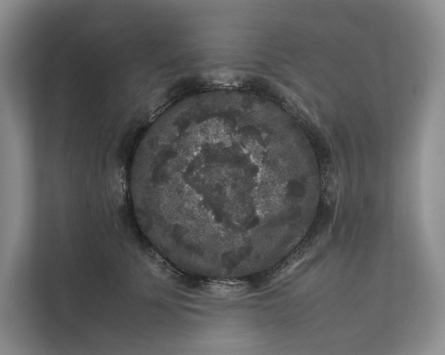 X0000111810707200908061115