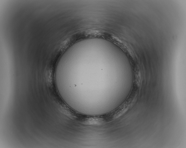X0000111810708200908061115