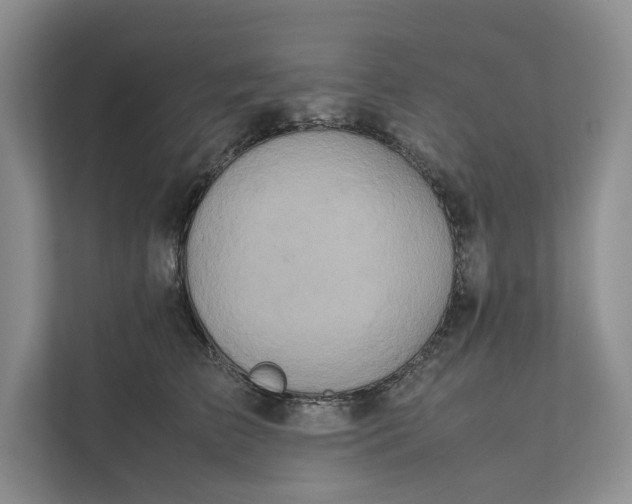 X0000111810709200908061115