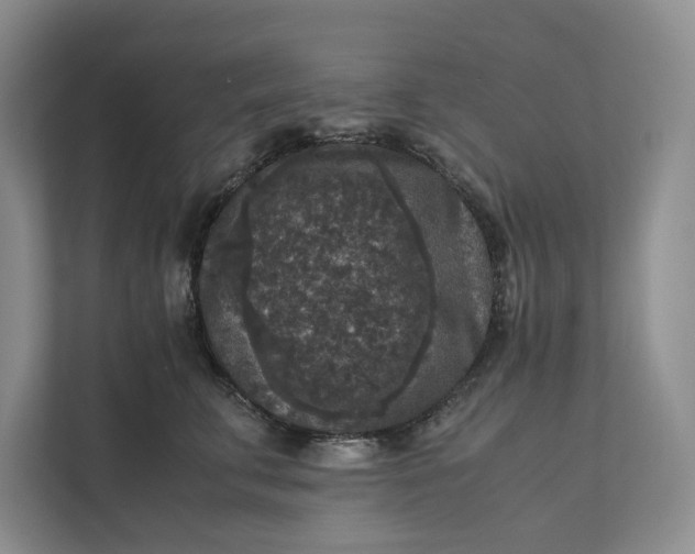 X0000111810711200908061115