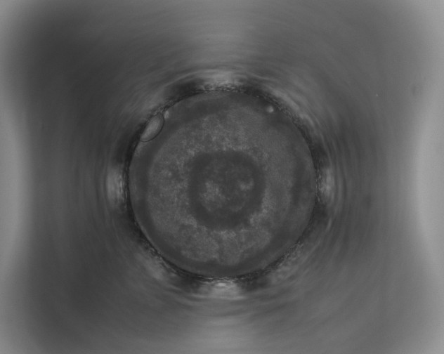X0000111810715200908061115
