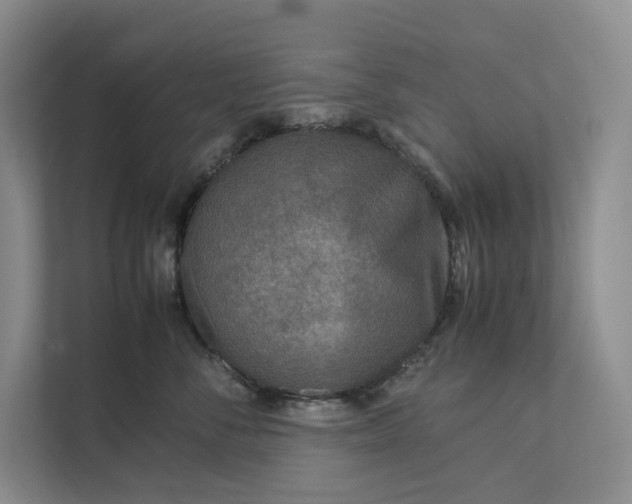 X0000111810716200908061115