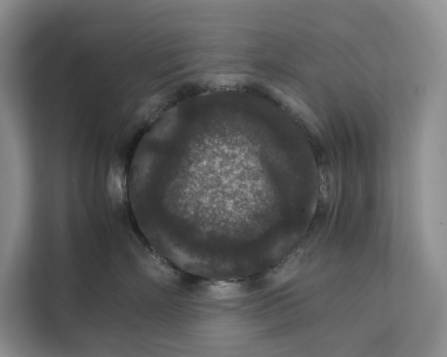 X0000111810718200908061115