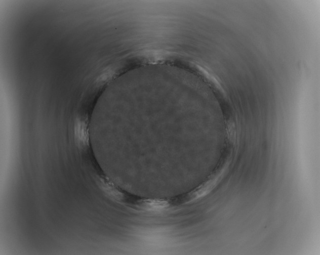 X0000111810719200908061115