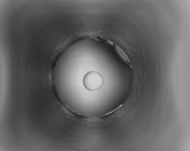 X0000111810720200908061115
