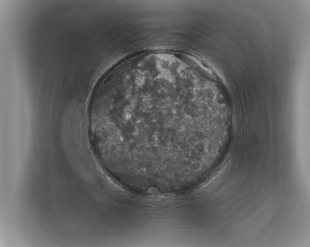 X0000111810721200908061115
