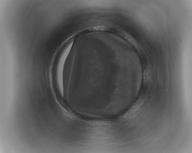 X0000111810722200908061115