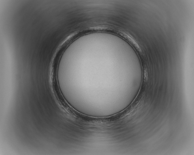 X0000111810724200908061115