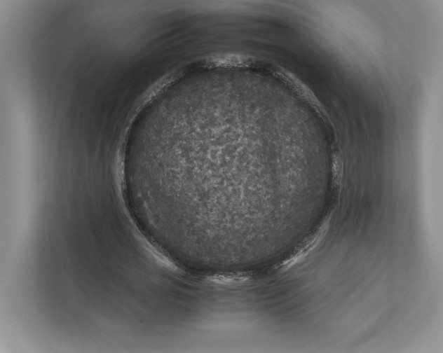 X0000111810725200908061115