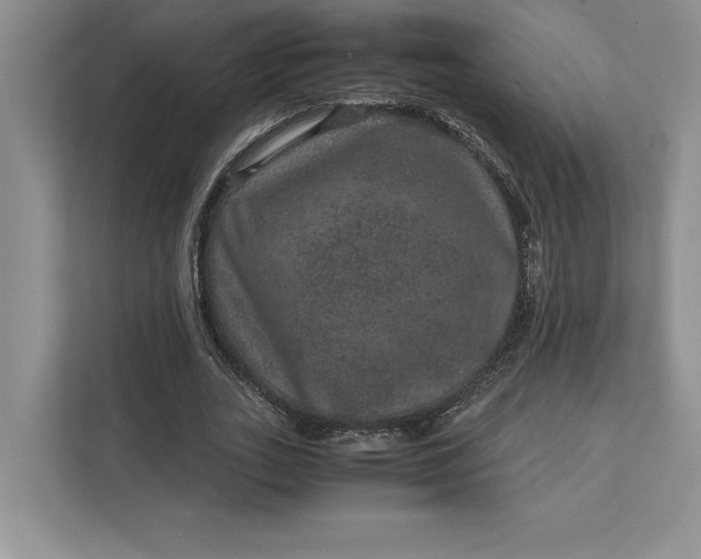 X0000111810727200908061115
