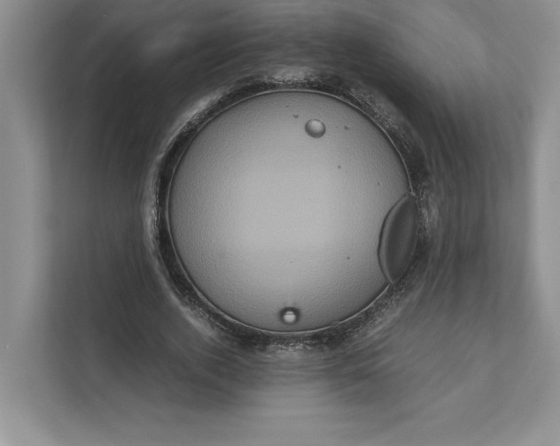 X0000111810728200908061115