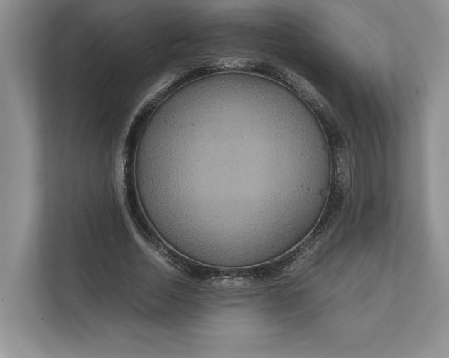 X0000111810730200908061115