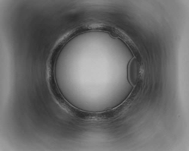 X0000111810732200908061115
