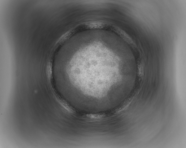 X0000111810733200908061115