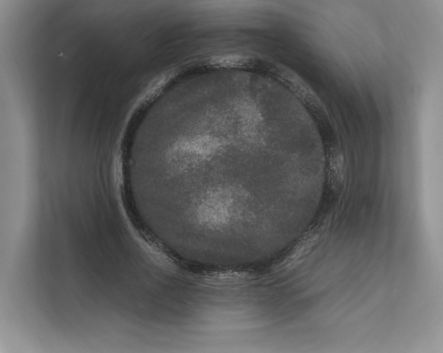 X0000111810734200908061115