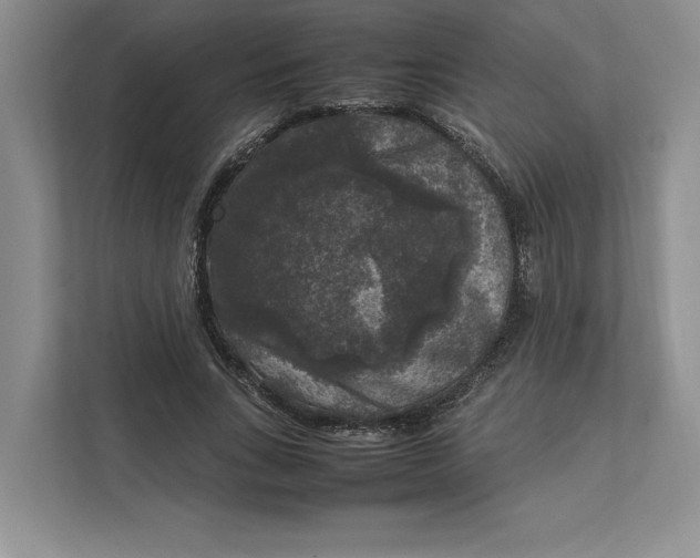 X0000111810735200908061115