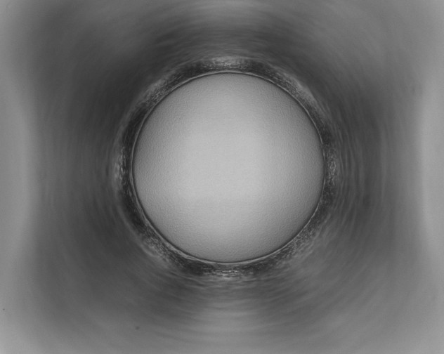 X0000111810736200908061115