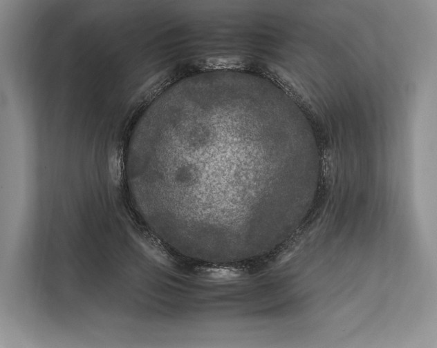 X0000111810741200908061115