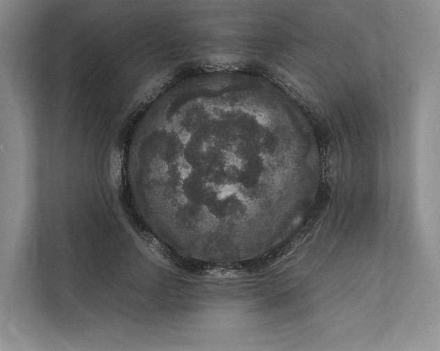 X0000111810742200908061115