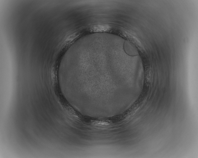 X0000111810743200908061115
