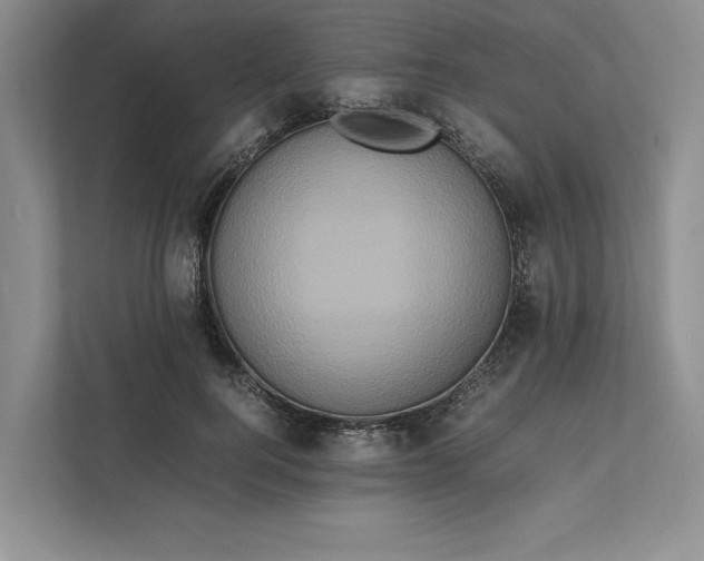 X0000111810744200908061115