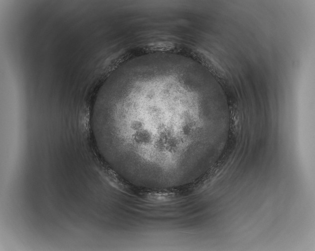 X0000111810745200908061115