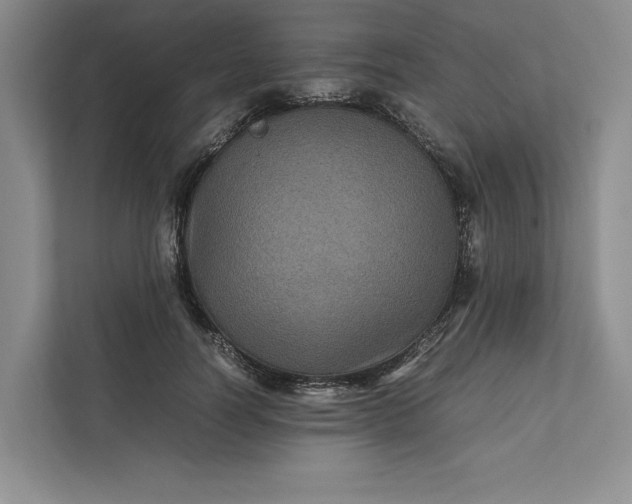 X0000111810746200908061115