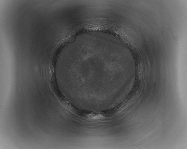 X0000111810747200908061115
