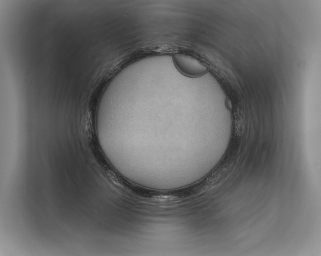 X0000111810748200908061115