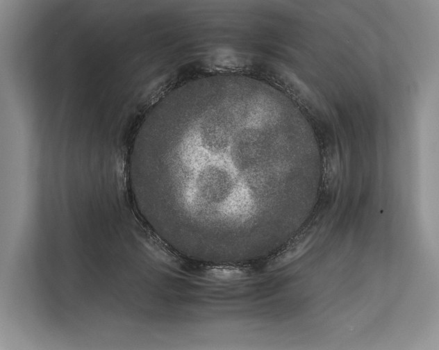 X0000111810749200908061115