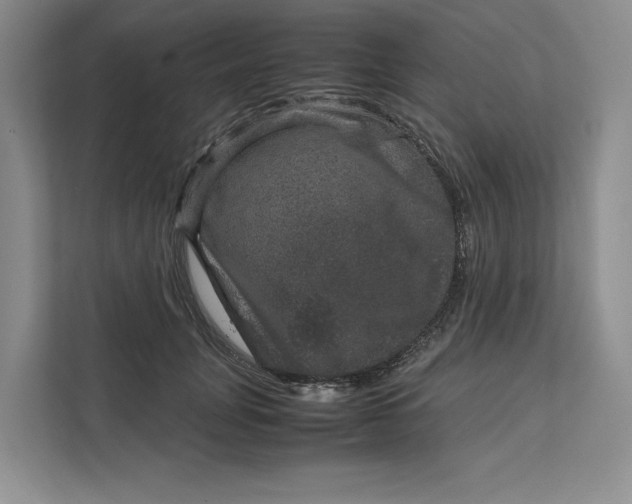 X0000111810751200908061115