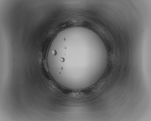 X0000111810752200908061115