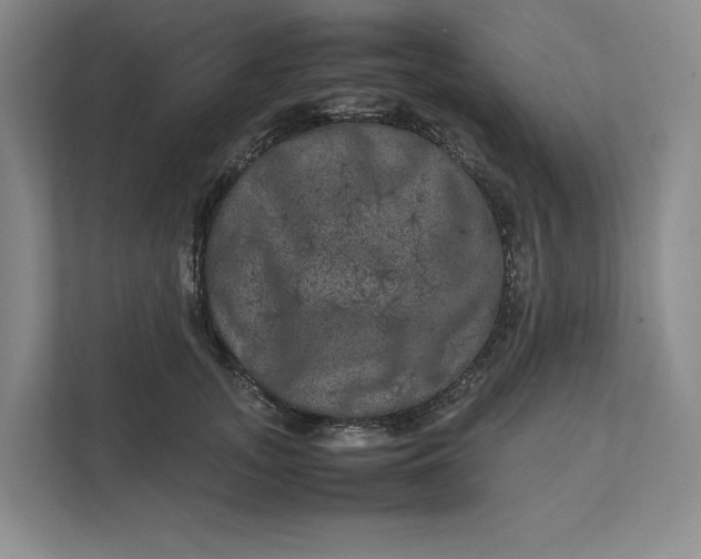X0000111810755200908061115