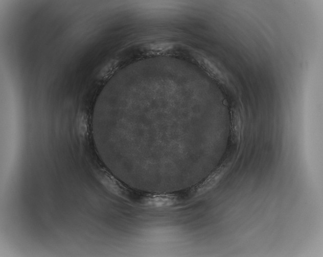 X0000111810758200908061115