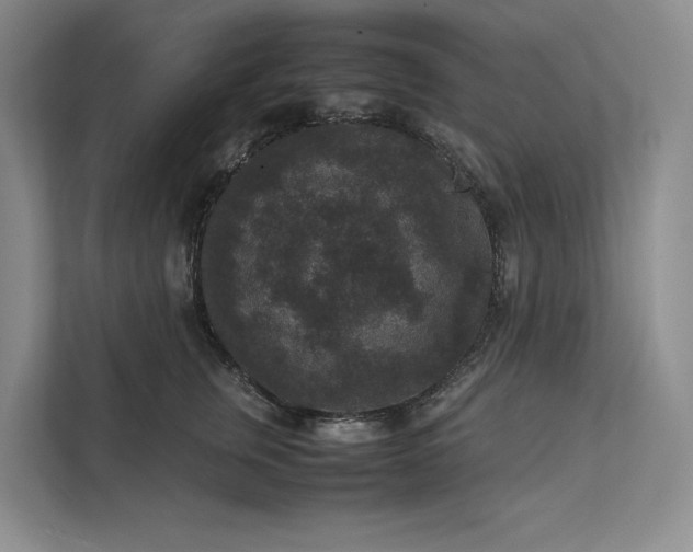 X0000111810759200908061115