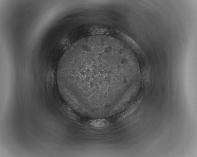 X0000111810761200908061115