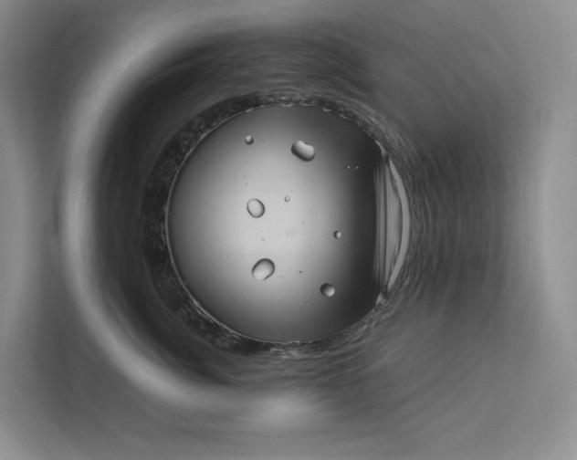 X0000111810764200908061115