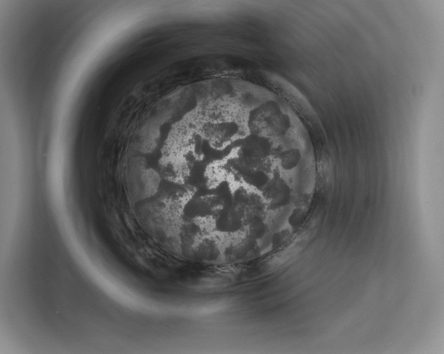 X0000111810765200908061115