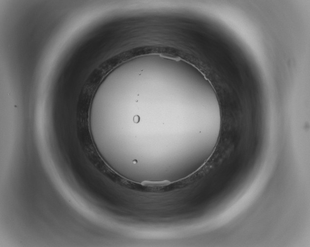 X0000111810766200908061115