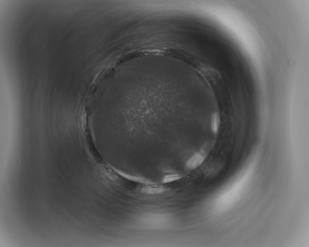 X0000111810767200908061115