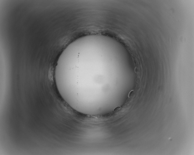 X0000111810768200908061115