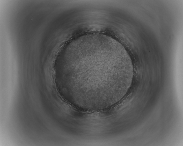 X0000111810769200908061114