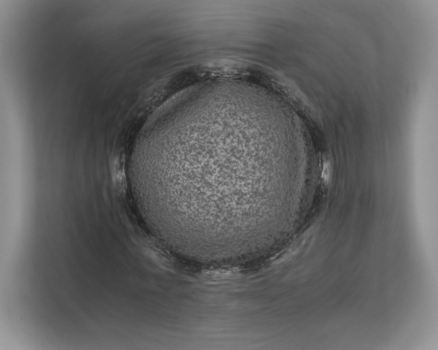 X0000111810771200908061114
