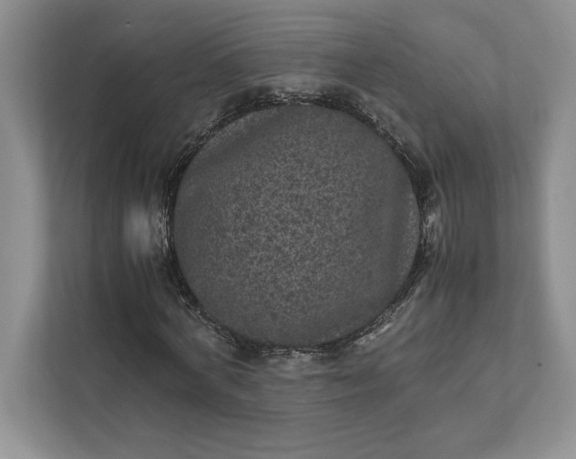 X0000111810772200908061114