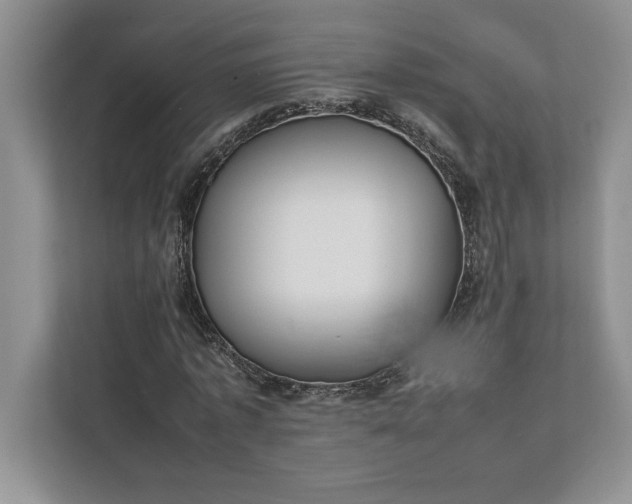 X0000111810773200908061114