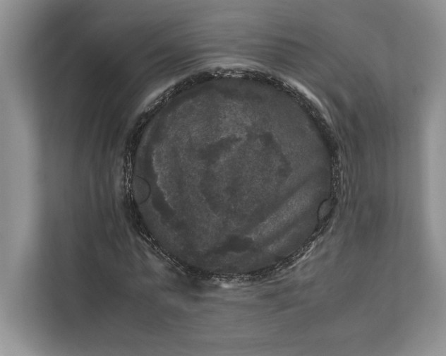 X0000111810775200908061114