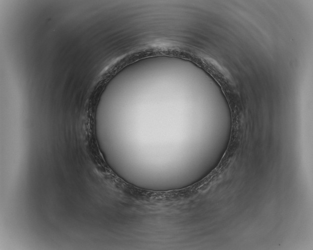 X0000111810776200908061114
