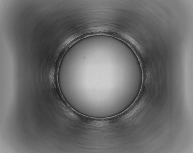 X0000111810778200908061114