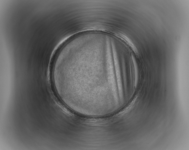 X0000111810780200908061114