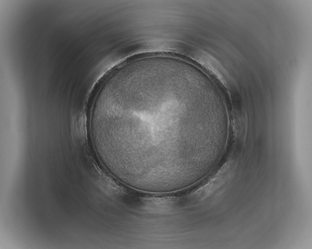 X0000111810781200908061114